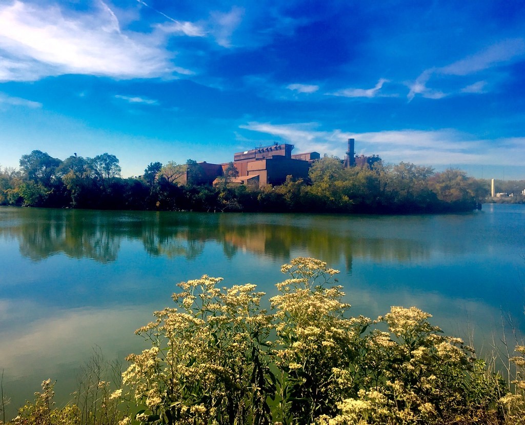 64thNWestern's tweet photo. Rando pic I poached off of my defunct flickr.... Been at this spot before in the winter... summer pic.
Mistakenly in the past calling this West Pullman, the factory itself is in the suburb of Riverdale.
#Chicago #WestPullman #Riverdale #CalSag #Factory https://t.co/4eAAN6mTQM