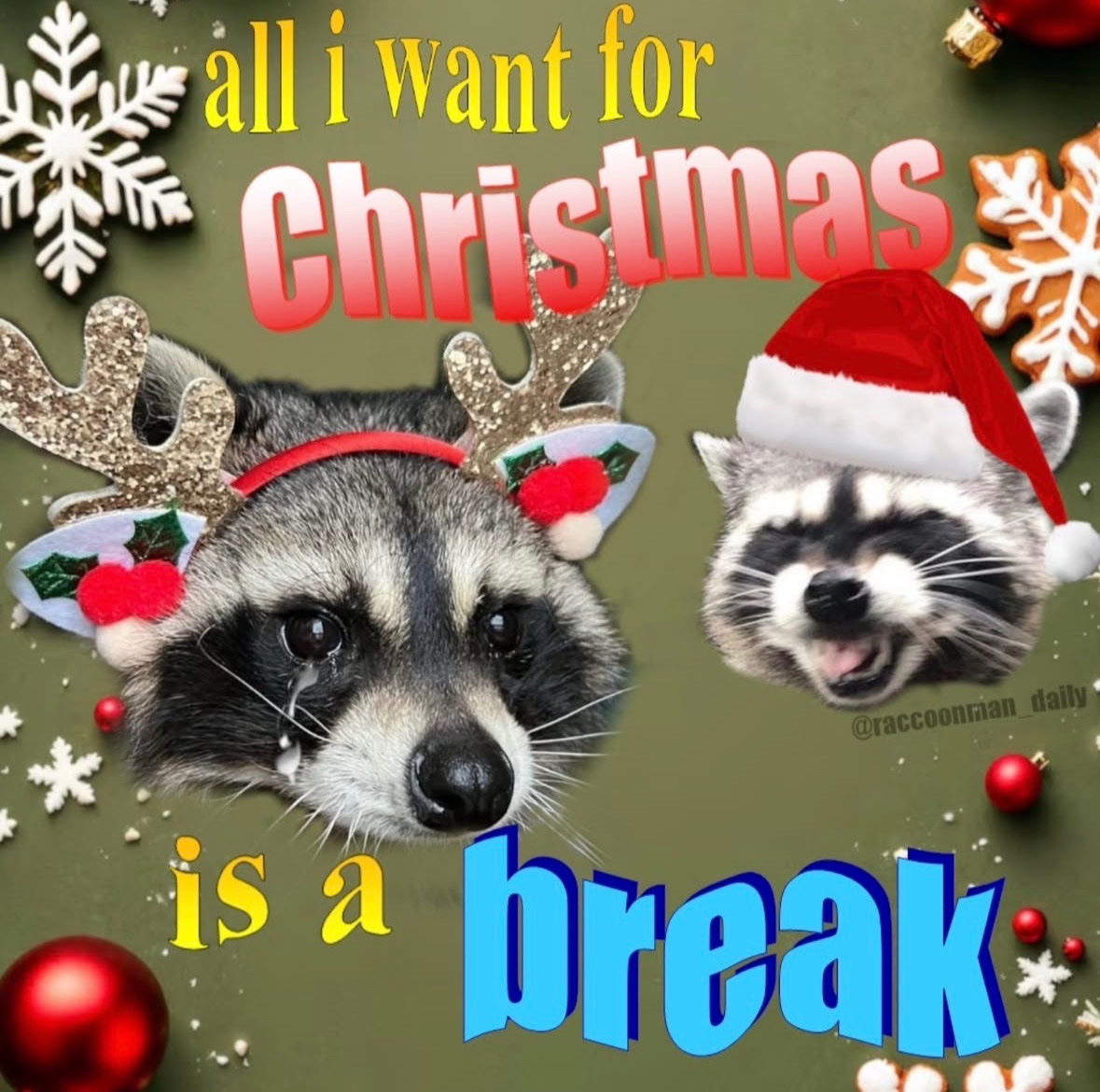 raccoonesthetic's tweet image. 