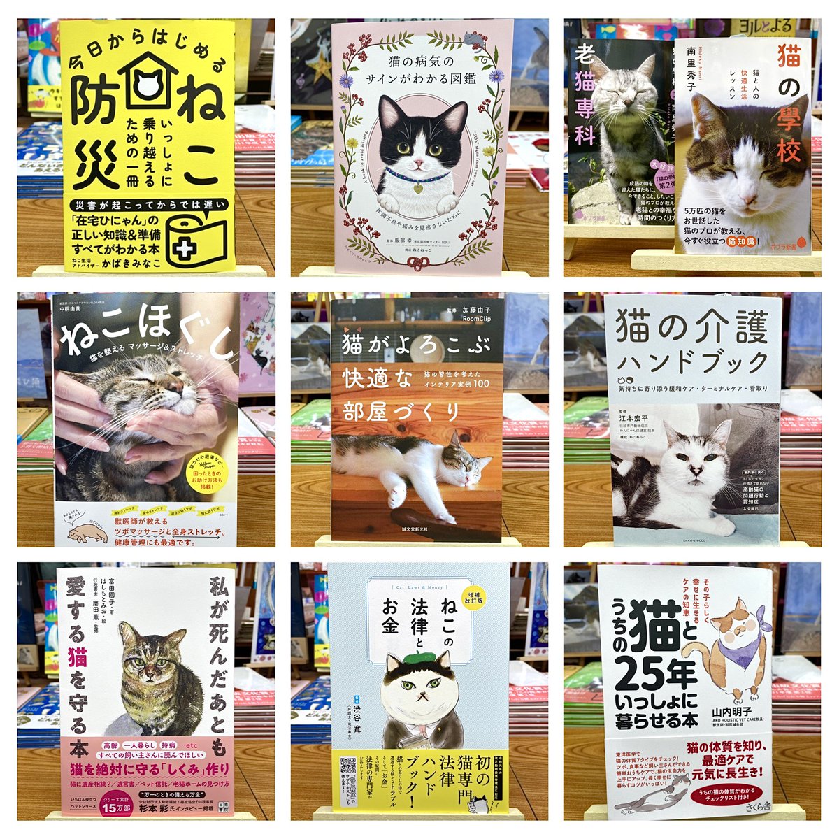 猫れくしょん (@neco_syukado) / Posts / X