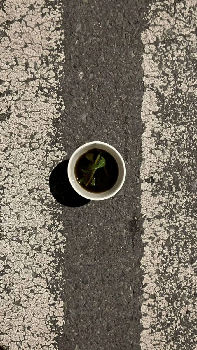 __El____'s tweet image. الله يا زين شاهي اللّيل والنسمات بارده .