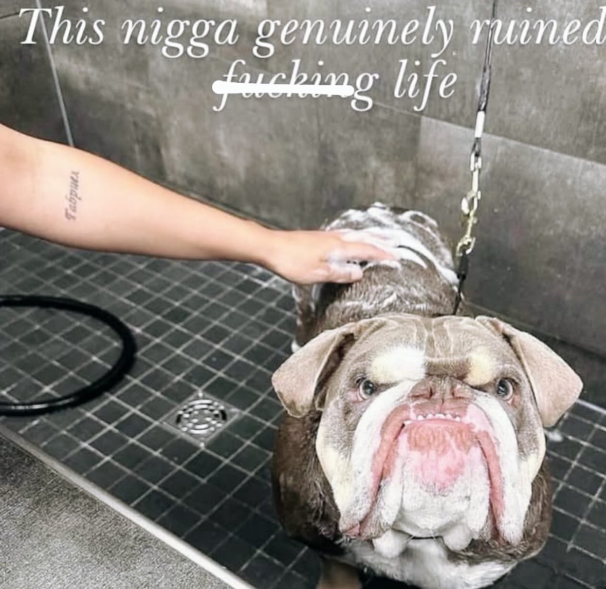 ⛧ (@ihatemybtch) on Twitter photo 