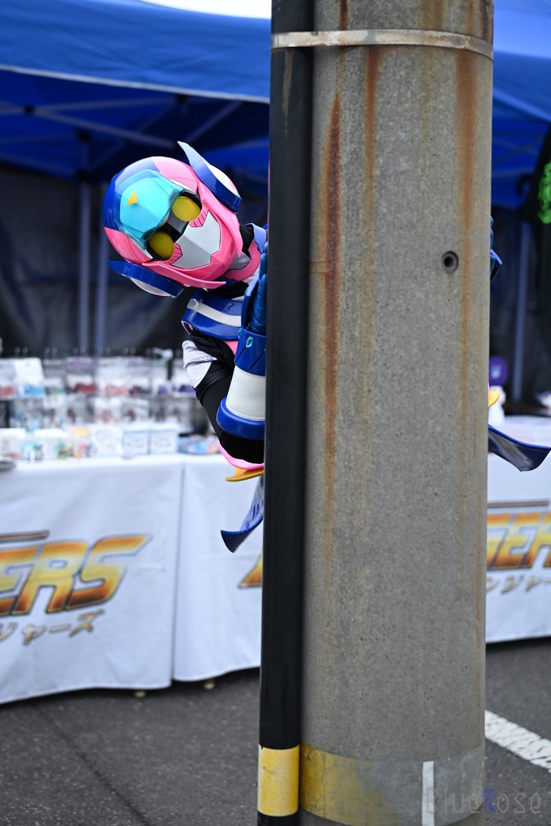 BLUE ROSE【PHOTO】 (@BlueRose180S) / Posts / X