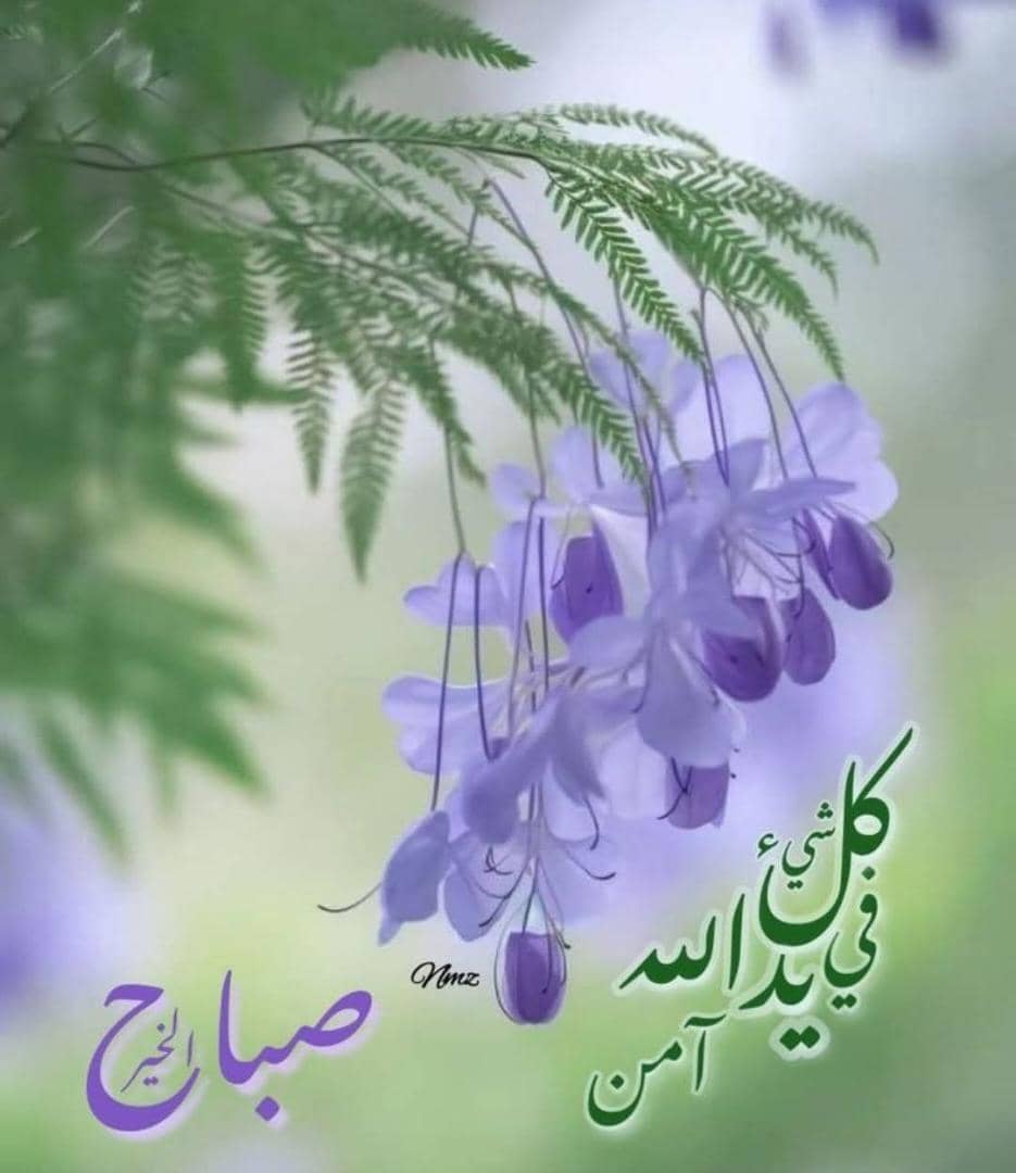 mooool (@o_ool91275) on Twitter photo 