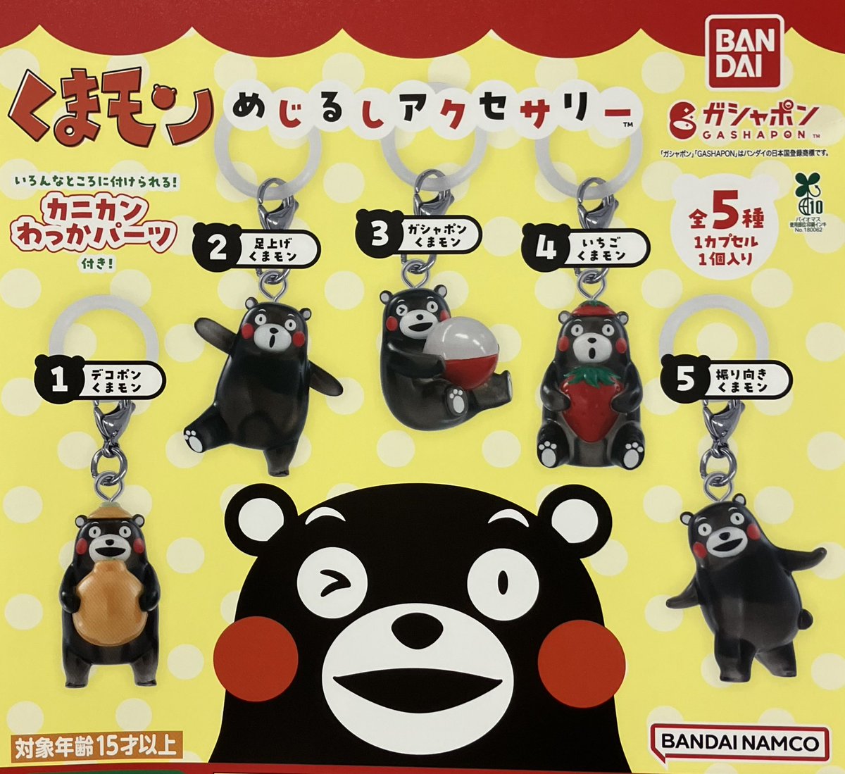 🎄12/9(火)新入荷情報③🎄 ・くまモン めじるしアクセサリー ・まち