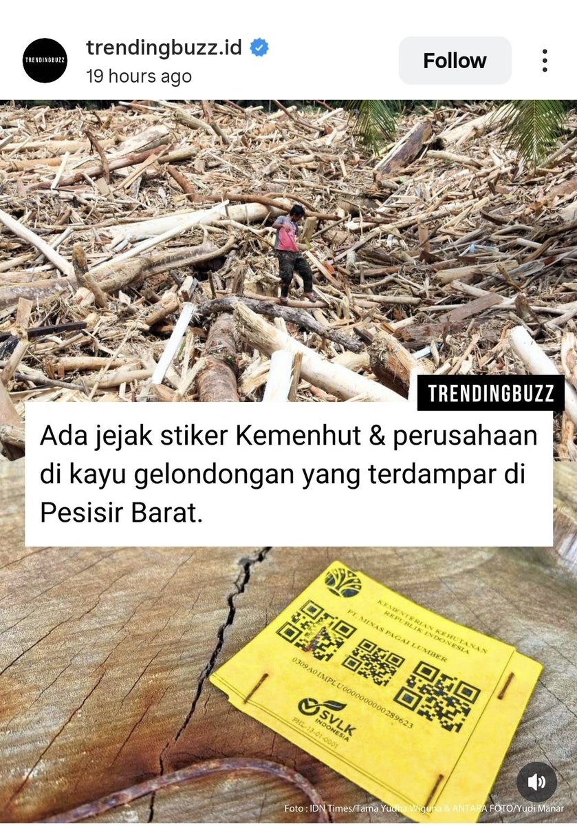irenejuliency's tweet photo. Ada jejak stiker Kemenhut di kayu gelondongannya. https://t.co/PVy4O5Ix4V