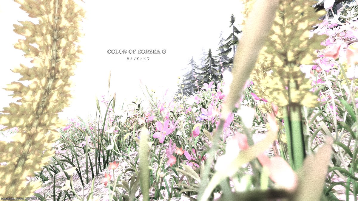 #エオカラーG #FF14ハナノヒトヒラ #FF14風景