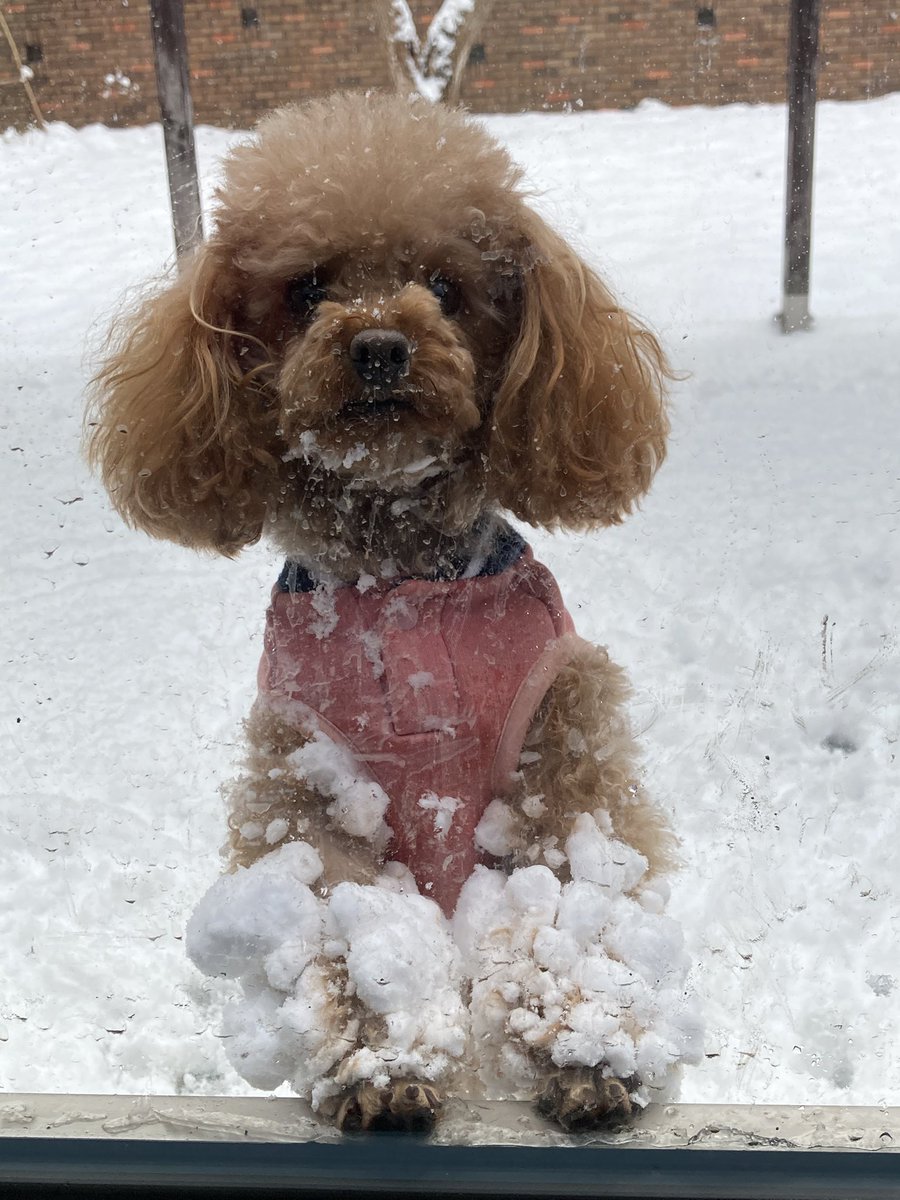 名無し三等兵🐧🍊™️ (@3rdClass774) / Posts / X