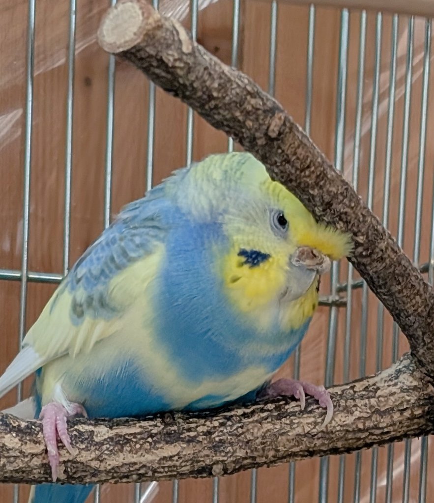 Yu-Miya (@kuro_yu_mi) / Posts / X