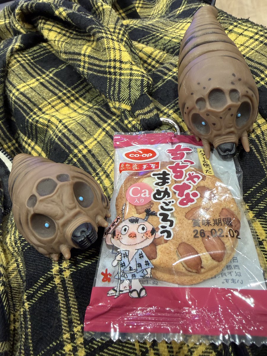 ちっちゃなまめごろうを 見守ってくれて どうもありがとう🐛🫘🐛