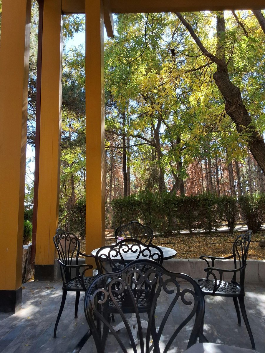 GM Fam if you GM 🌅