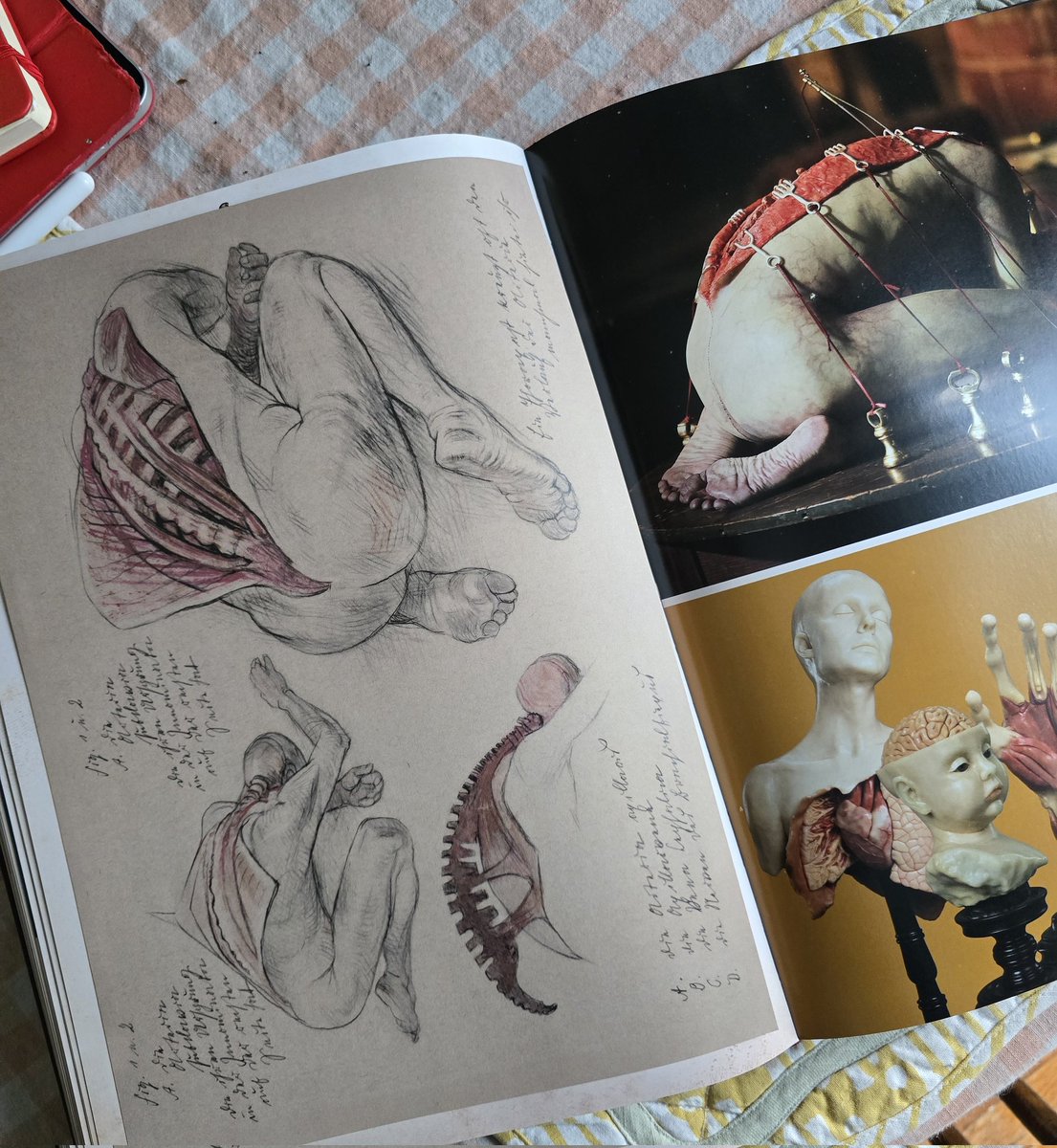 🦇Heebo🦇 tweet media