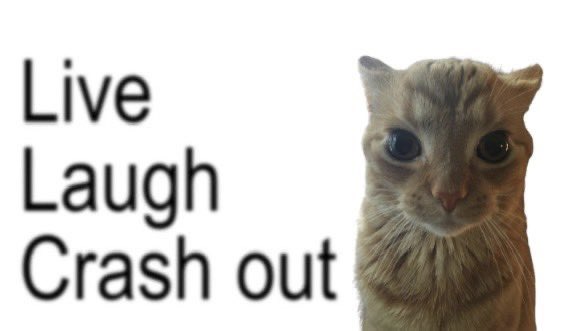 GaK (@gakstercat) on Twitter photo 