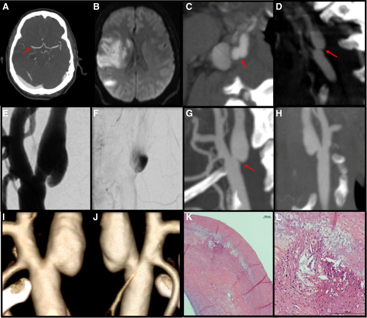 AshuJadhav tweet media
