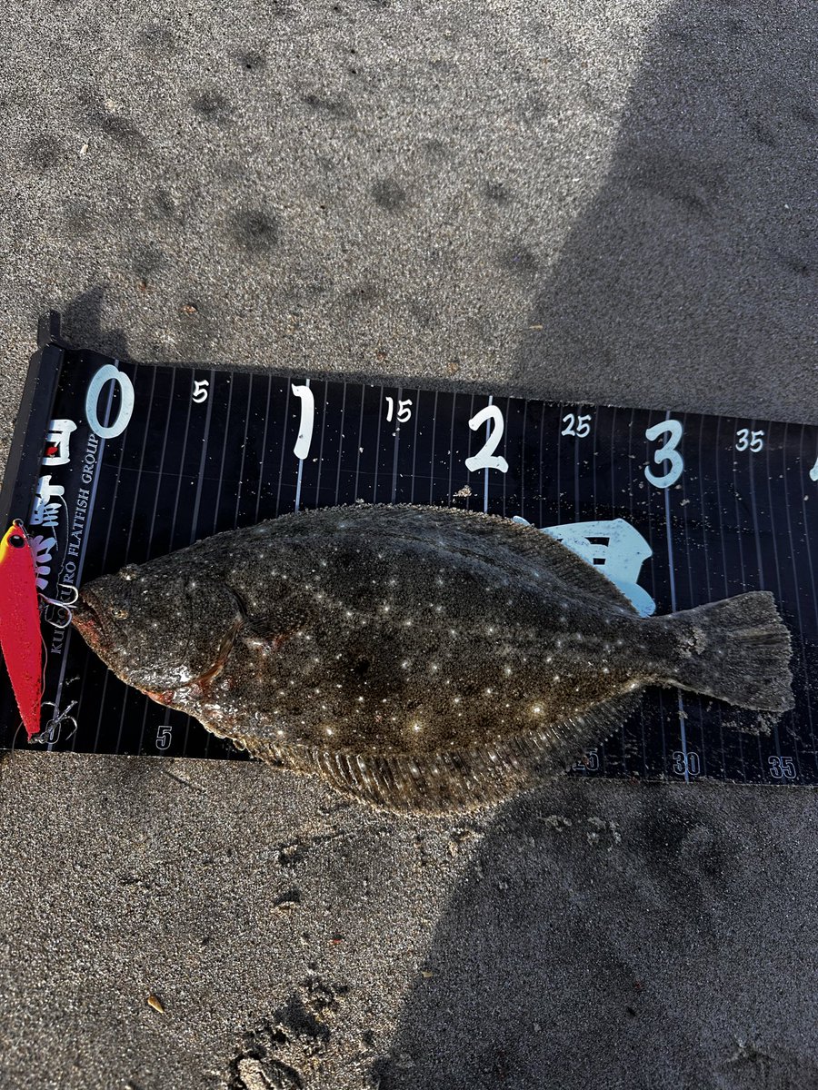 飯島一貴 (@Turizanmai27) / Posts / X