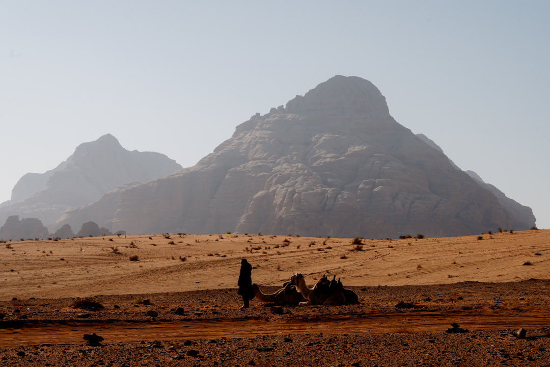 dedoth's tweet image. Sun, sand, and ancient winds whispering stories older than memory. 

#jordantrip 
#wadirum 
#petra