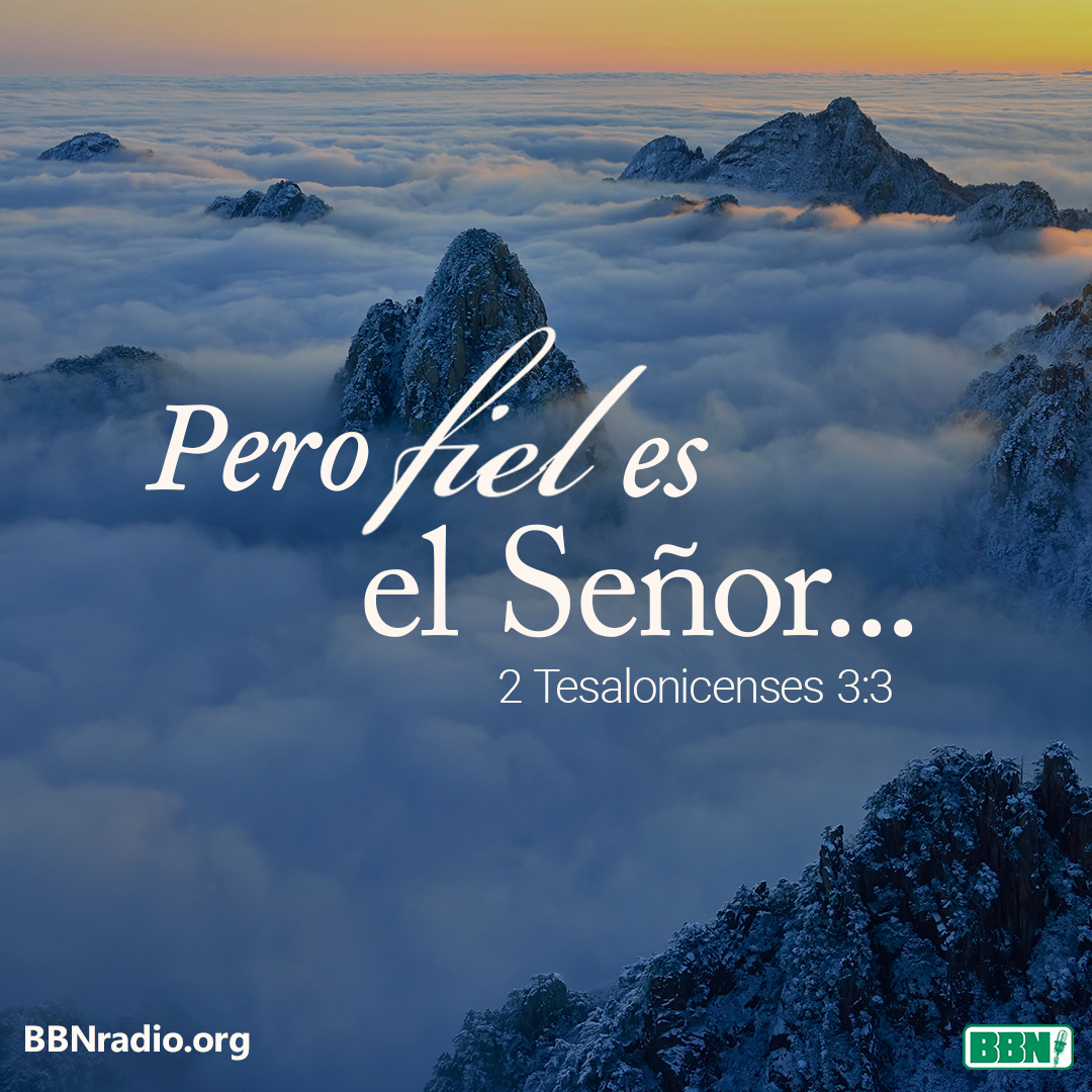 BBNEspanol's tweet photo. https://t.co/uiA82dYVH1