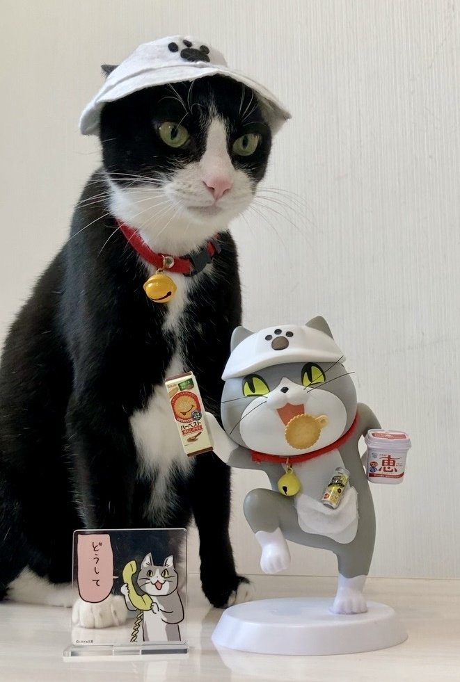 オニャンコポン🐈‍⬛ (@anotokinoneko22) / Posts / X