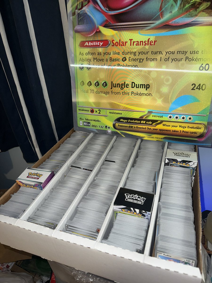 haley 🍃 tweet media