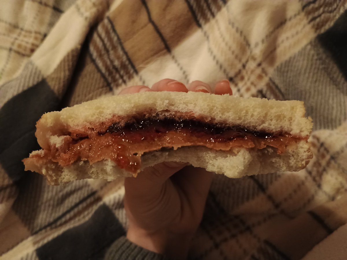dairymaxxing's tweet photo. oh my god biscoff and strawberry jam is a deadly combination https://t.co/qa0gLD5idy