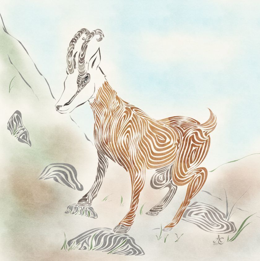 Lorraine Folklore série - 04 Le Dahut des montagnes vosgiennes 🏔️ 🦌