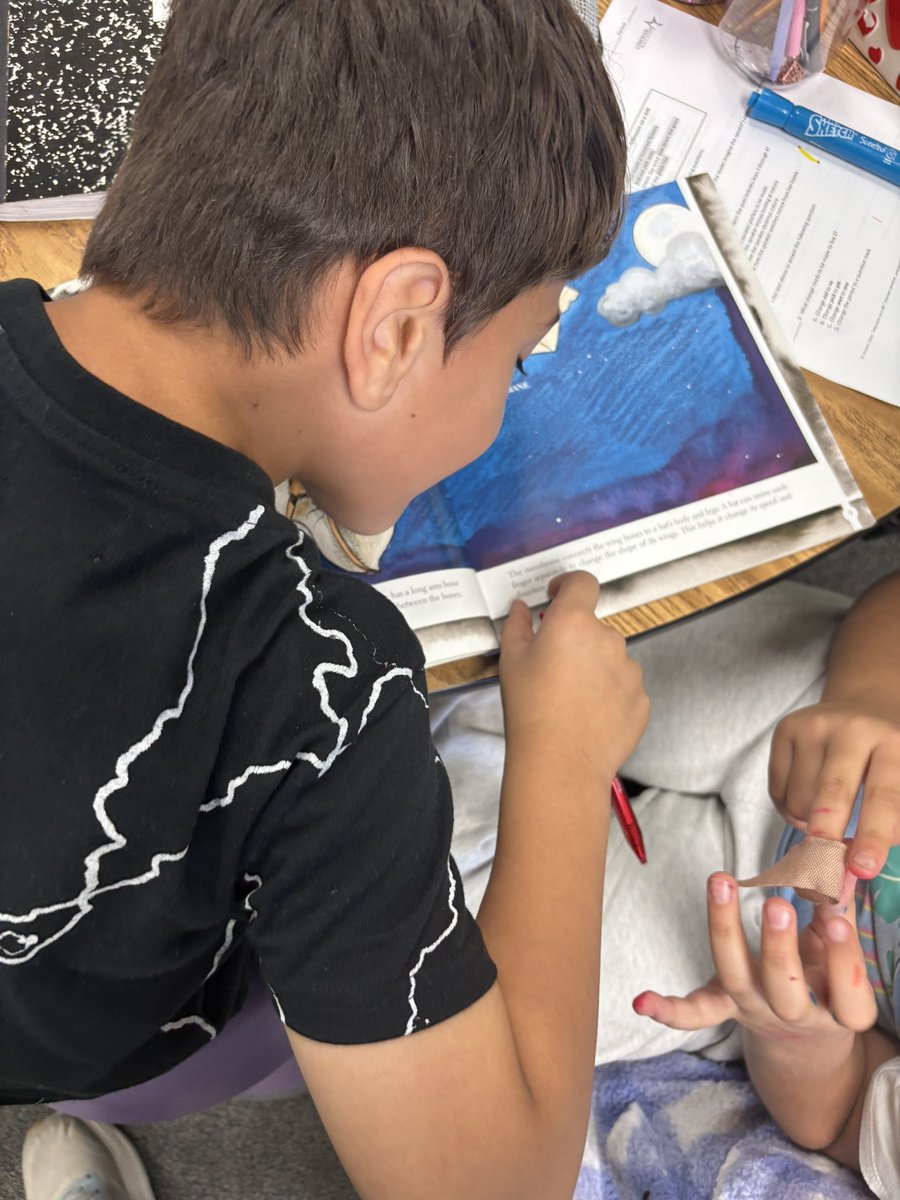 BBE 3rd Grade tweet media