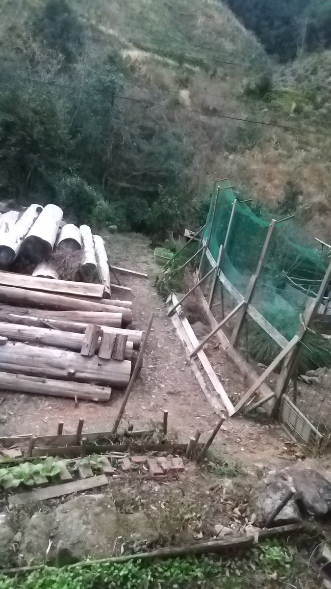 電柱移設のために倒してた杉丸太。
１本無くなったらわりと水平だったので、横板を張った。風のない日は昼食食べたり、もの作ったり、クロガネモチで遮られていた太陽もサンサンふりそそいで暖かい。
家の中は凍るように寒い。
今日は氷点下の朝