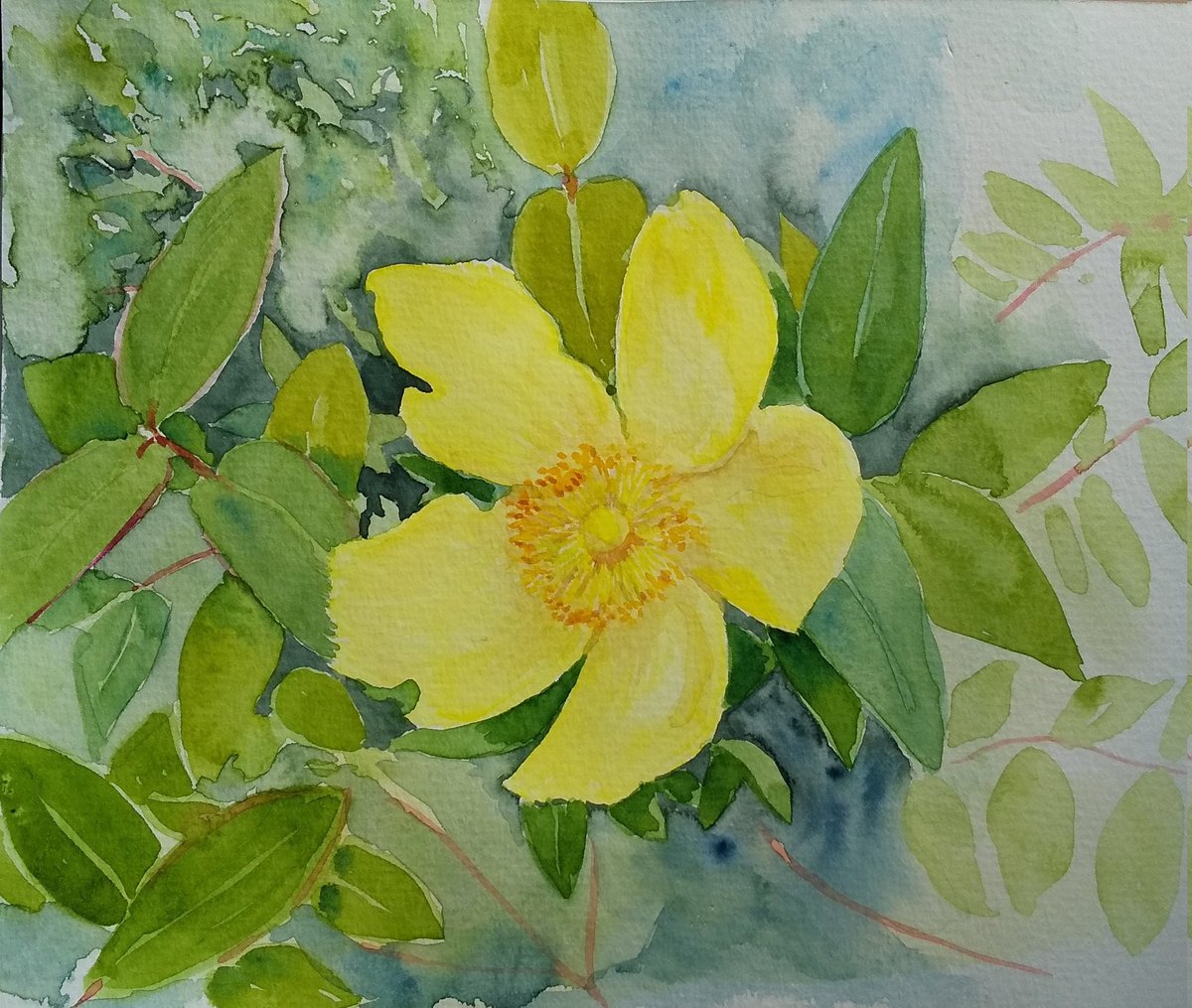 【真作】絵画　作者不詳　油彩　花　バスケットに咲く黄色い花の温もり　U12 確かにこの花をよく見ますね