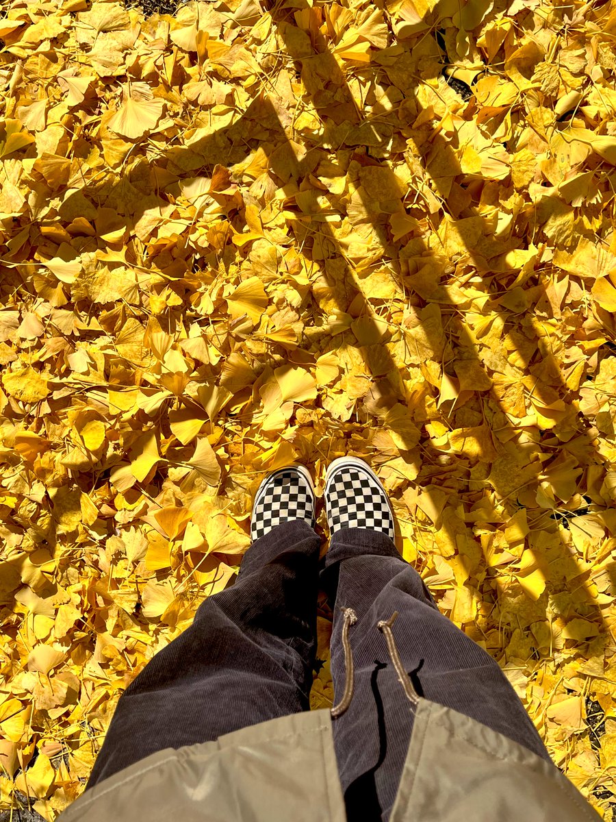 Marinko👁️まりんこ (@CryptMonsters_) / Posts / X