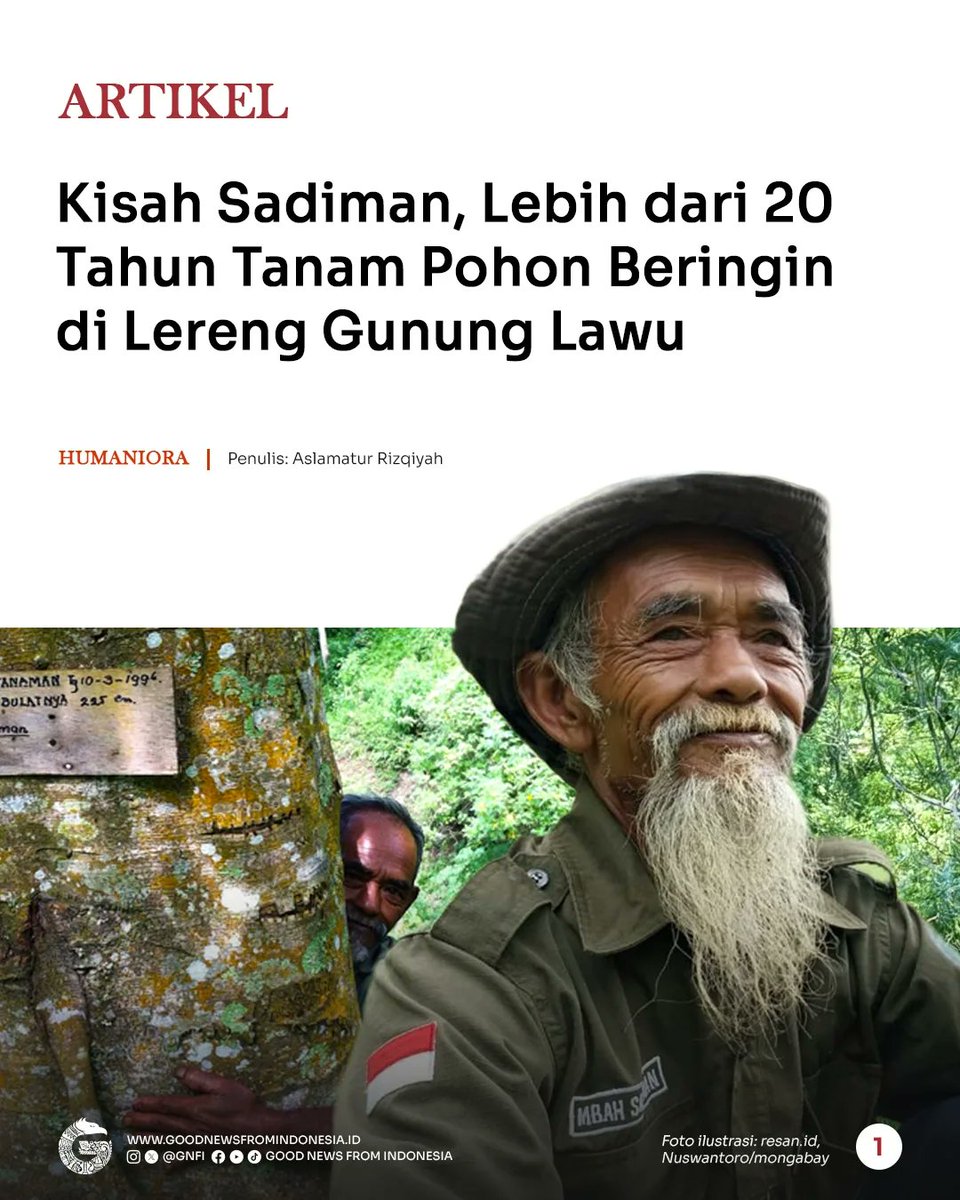 Nairanarra's tweet image. The Story of Sadiman, Over 20 Years Planting Banyan Trees on the Slopes of Mount Lawu

Banyan trees provide significant benefits to the environment as shade and as biomonitors. Their roots absorb rainwater, penetrate deep layers of soil, and slowly store the water in the ground,…