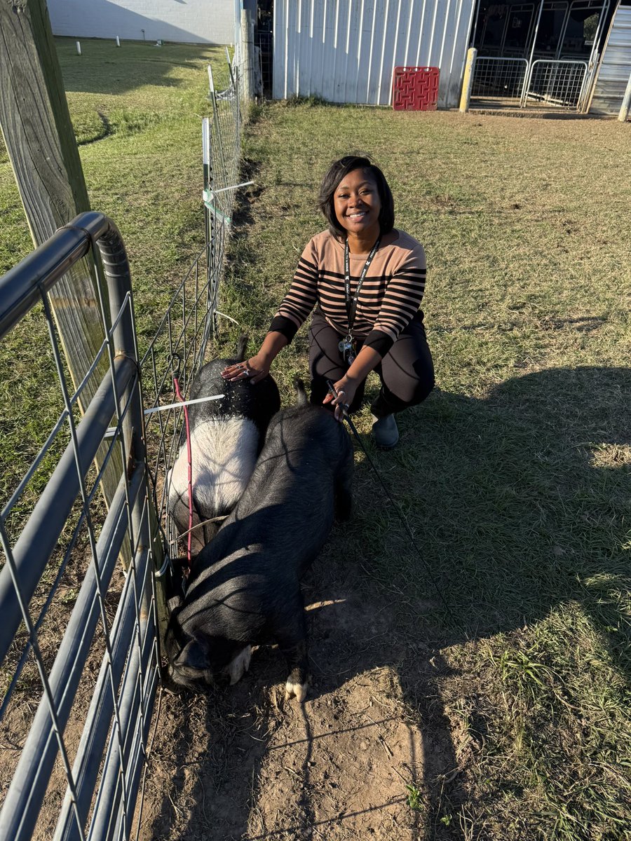 Ashley Sterns, M.Ed tweet media