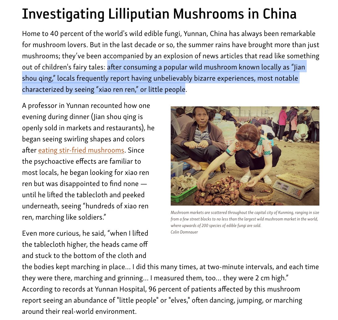 제게는 엄청난 업데이트네요. 중국에는 환각 문화가 거의 없다고 생각했는데 말이죠. 도교나 불교 신자라면 그럴 수도 있겠지만, 법가나 유교 신자라면 그렇지 않을 겁니다. 그러니까 지금 중국 사람들은 환각 문화를 아예