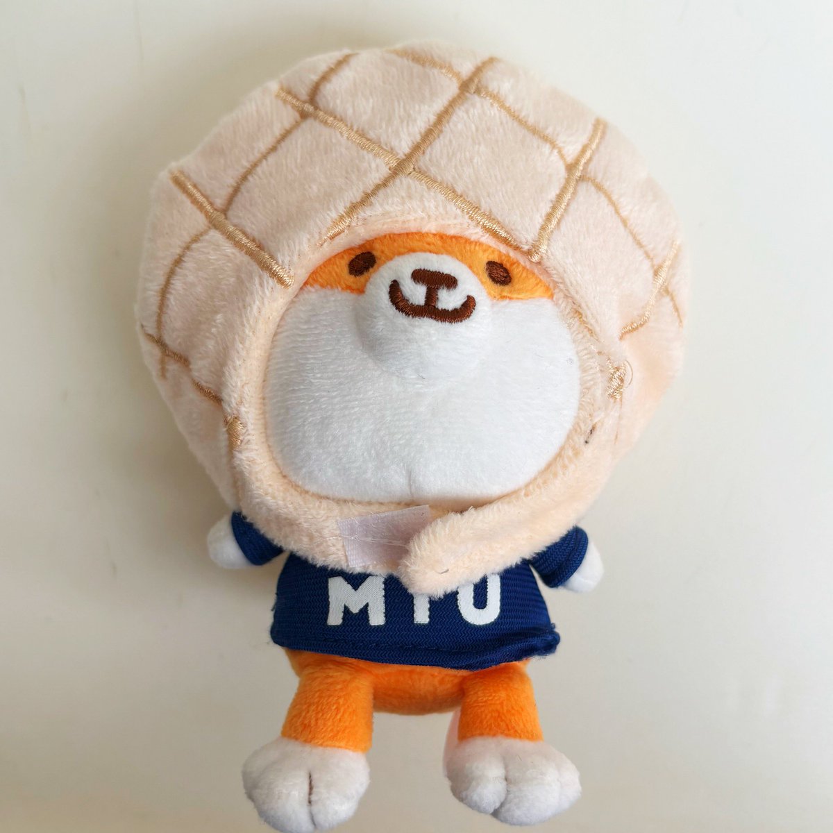 メロンパン (@melonpan_japan) / Posts / X