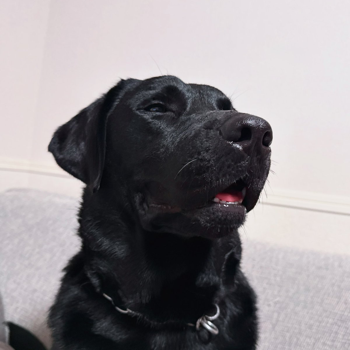 なんか今日ちゅるちゅるだな笑