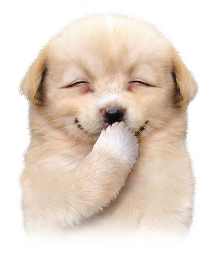 251123 차주완 쑤저우 행사 

가나디 맞잖아 완전 똑같잖아 🐶

#차주완 #chajoowan #车柱完