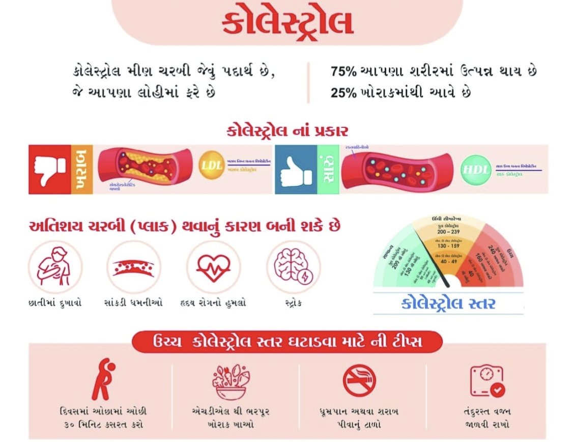 Thonetrang bharuch tweet media