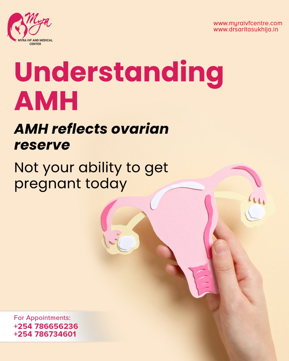 myraivfcenter's tweet photo. AMH reflects your ovarian reserve, but it does not measure your ability to get pregnant today. It is one piece of your fertility story.

With proper guidance and testing, you can understand what your results mean and plan your next steps with clarity. https://t.co/5XJjUAvW1l