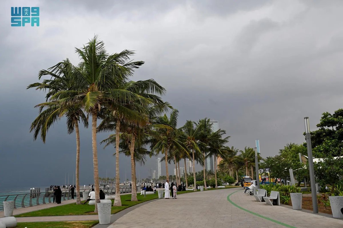 اليوم ..

#جدة .. تعانق الضباب وسط الأجواء الساحرة .

💚💚