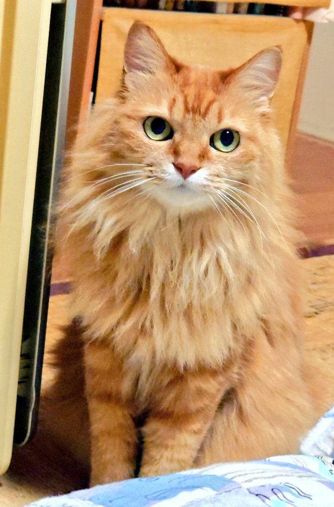 まま～！ ごはーん❤