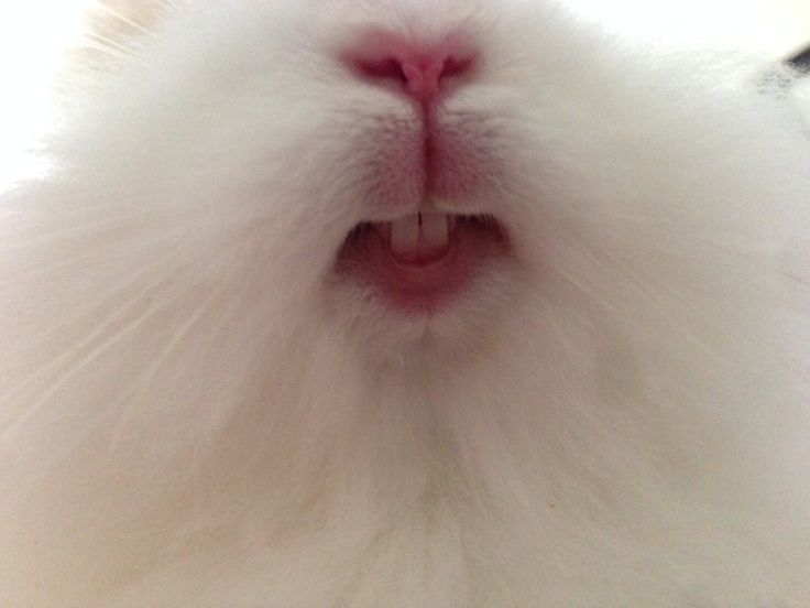 wonbin loops tweet media