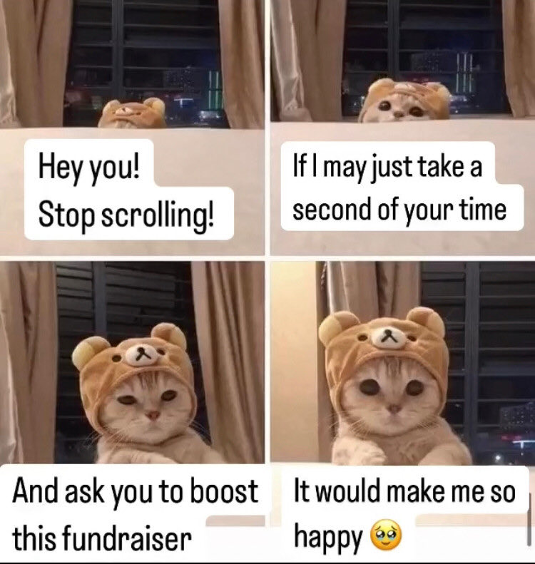 <a href="/tanyawoz4/">Таня Woz 🌻 4.0</a> <a href="/rima_medUA/">Rima Med 🇺🇸🇱🇹🇺🇦</a> <a href="/GimliDivision/">Gimli Division</a> <a href="/wildcatkaren/">Карен in the garden</a> <a href="/Fella_Canuck/">Fella Canuck🇨🇦🇺🇦🎗️</a> <a href="/PaulaPNZ/">PZN 🇬🇧🇺🇦🇬🇪💙💛🌻</a> <a href="/ratty886/">Scouty V2.0</a> <a href="/LaurelCKriegler/">russomisic Book Dragon - Ї 🇺🇦🌻🦈</a> <a href="/CanFella/">just Helen</a> <a href="/FellaEllalina/">Ellalina</a> Let's help the Defenders replace their gear so they can be safe and successful on the front line! Every dollar is a step towards victory! Please share OP and thank you for helping our Ukrainian Heros! 💙💛