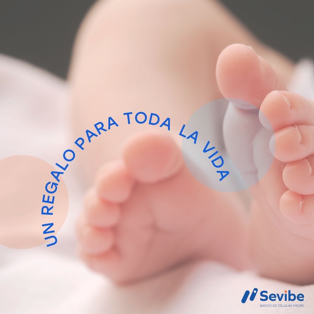 todopapas tweet media