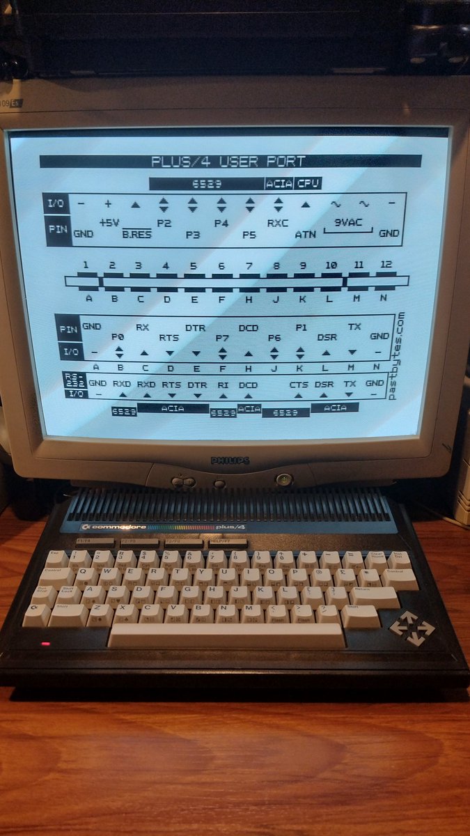 Jorge Castillo tweet media