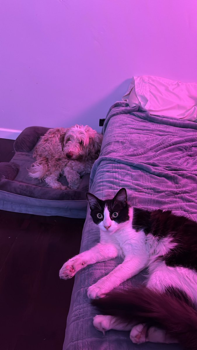 Twitch.tv/ButterzzR6
Playing Tom Clancy