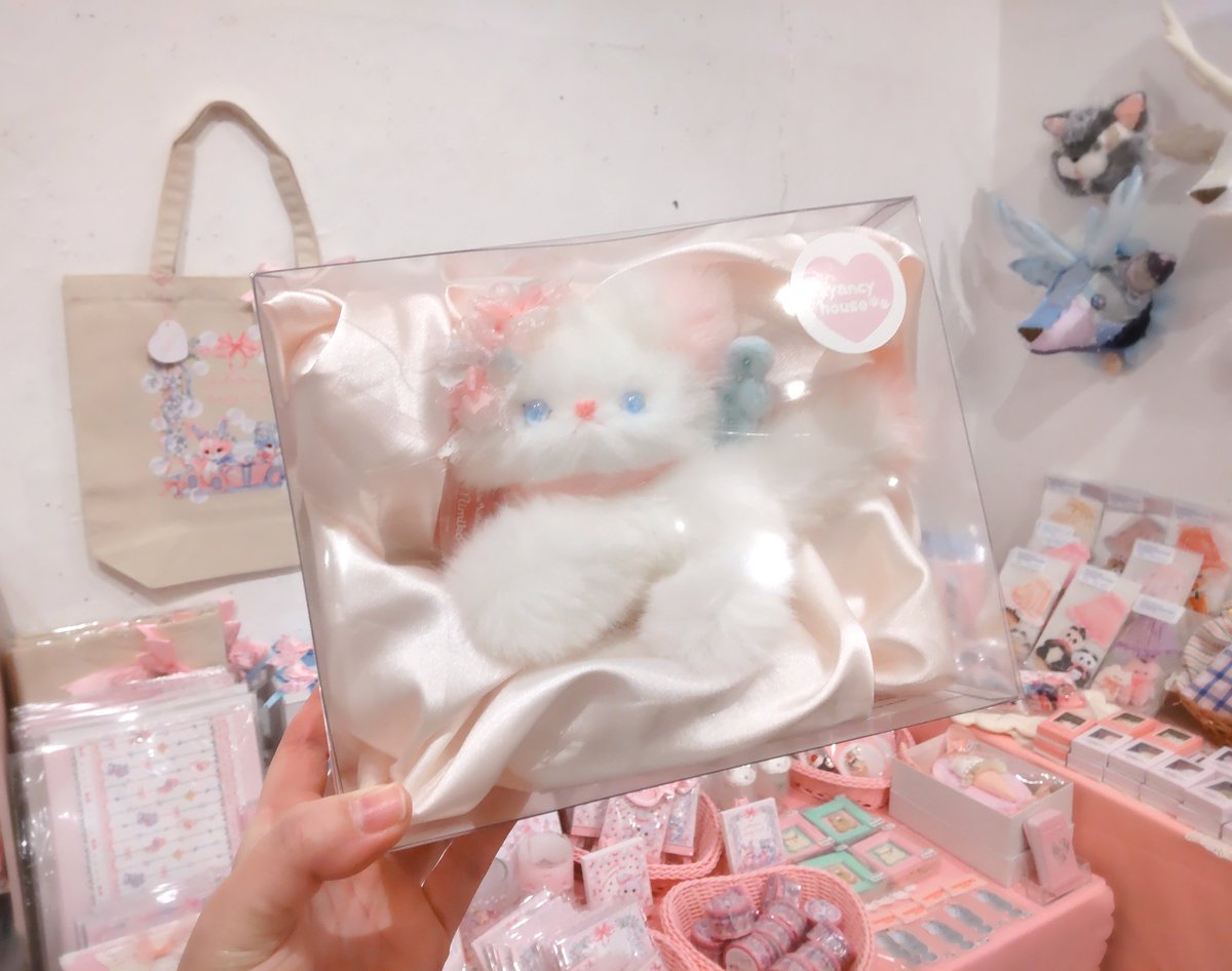 kyancy house キャンシーハウス (@kyancyhouse) / Posts / X