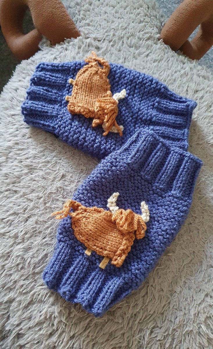 Happy #coosday I was playing about- I have knitted 3D Highland cow wristwarmers,  what about 3D Highland cow hat to match?  🐮💙