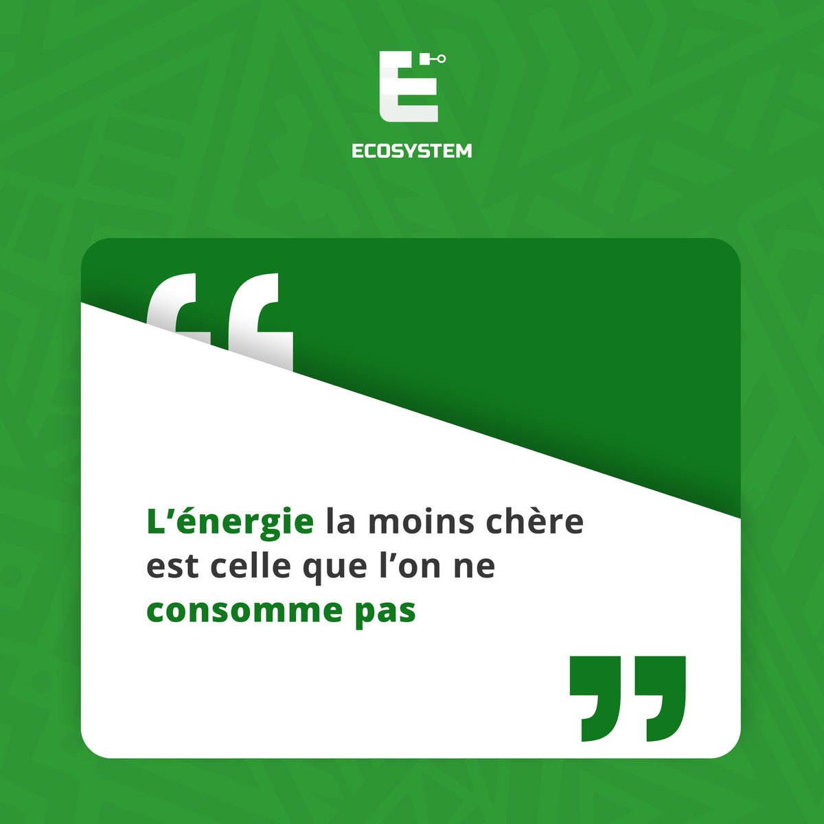 EcoSystemSN tweet media