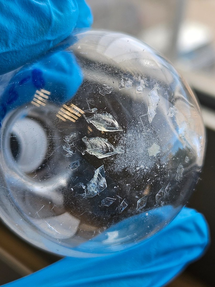 Miriam San Eusebio tweet media