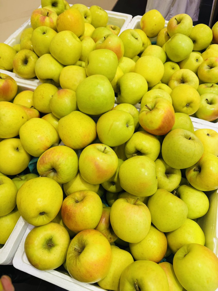 最近りんごがマイブームです。りんごを食べていない期間が長かったのですが、久しぶりに食べたらおいしくて。
香港ではいろんな種類の日本のりんごが手に入るのでうれしいです。
日本にいた時はほとんど食べていなかった王林や名月を香港で食べてます🍎