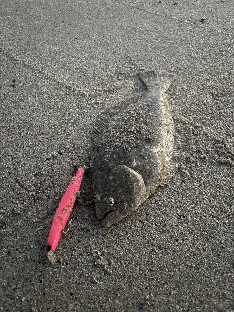 らりっくま☆ヽ(・∀・) (@kFZEGfs6z0KZrmp) / Posts / X