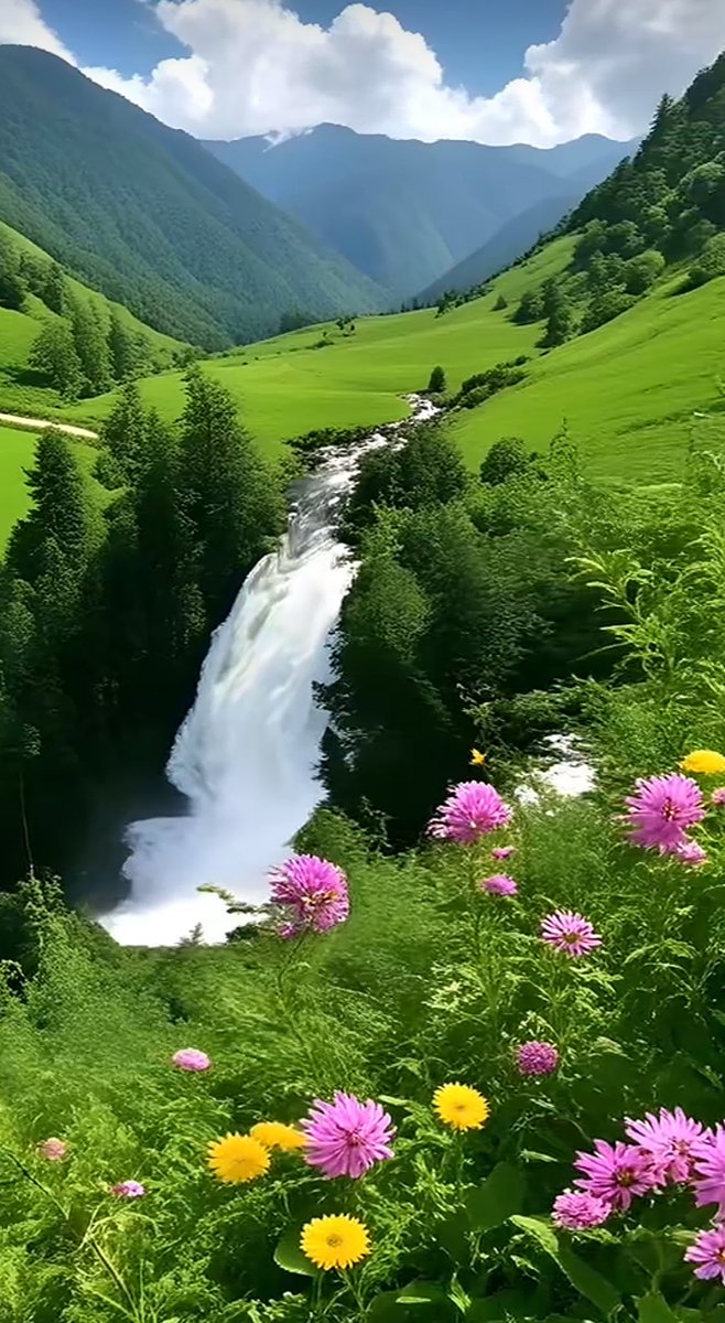 "
دامها دنيا مع الوقت بتزول
دور سعادة خاطرك وين ماكنت